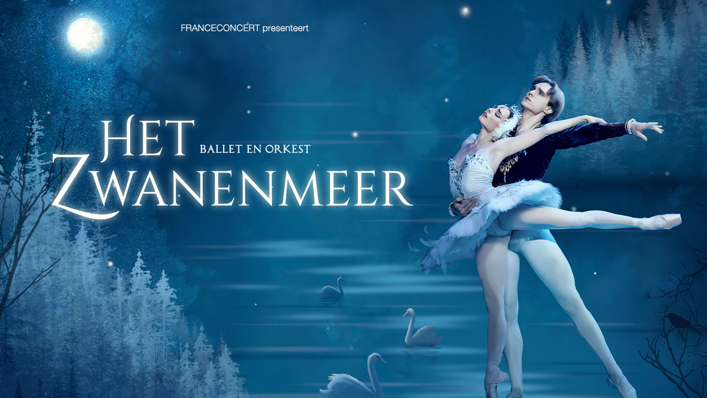 Swan Lake Ballet: Maastricht's Grand Spectacle