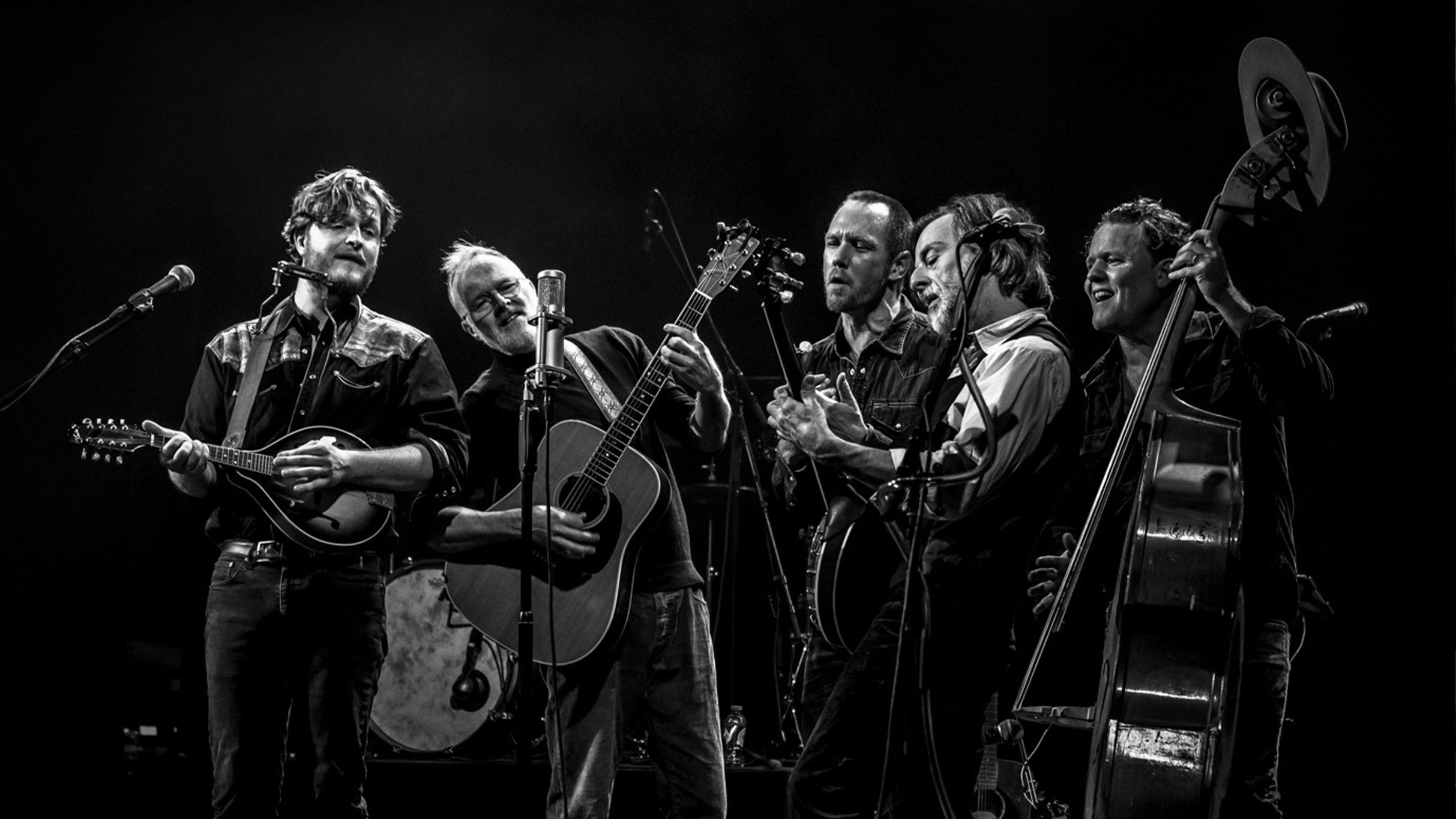 Her Majesty: Arnhem's Queen Tribute at Musis