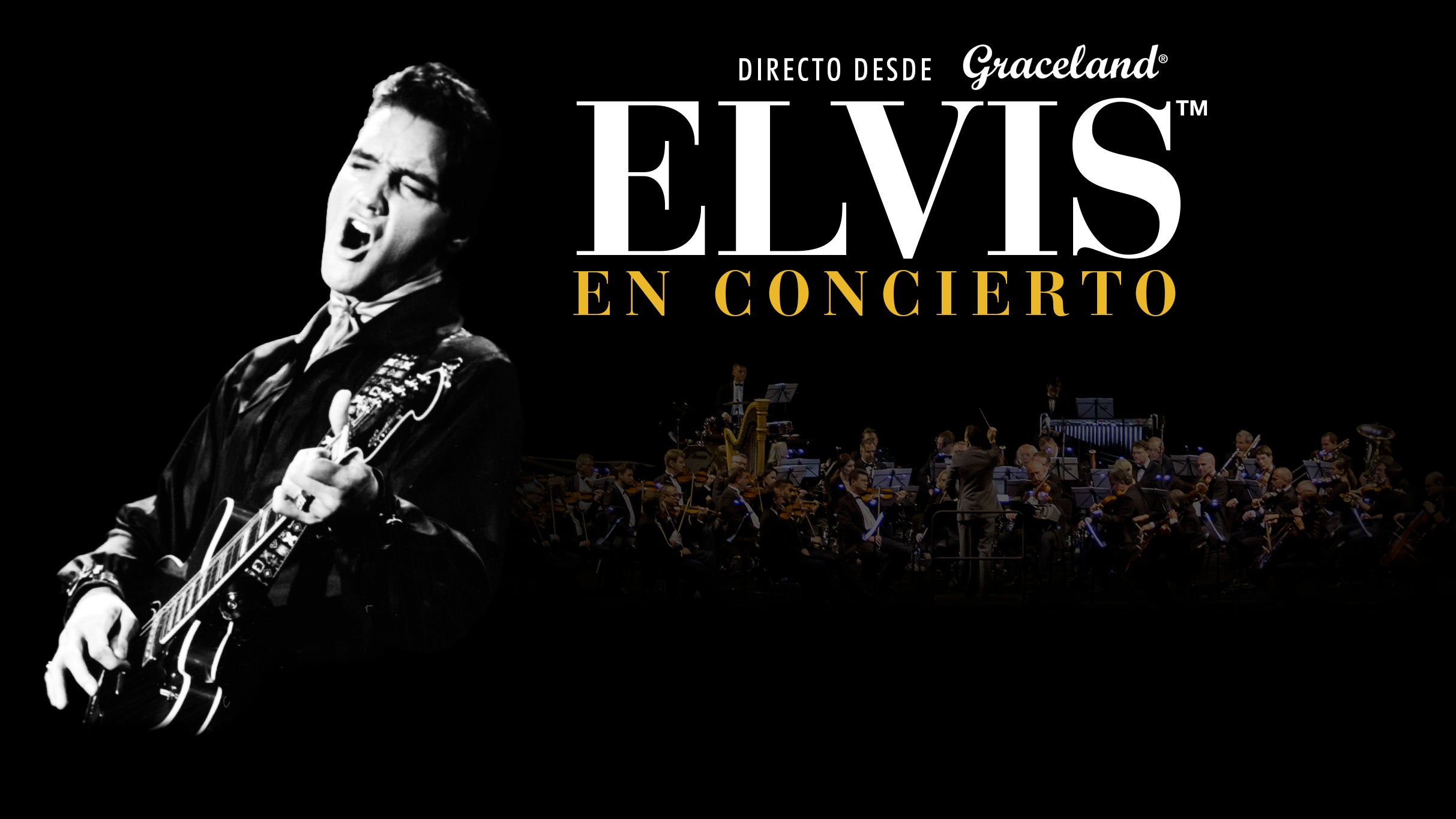 Elvis Tribute: Rock 'n' Roll at The Jam House!