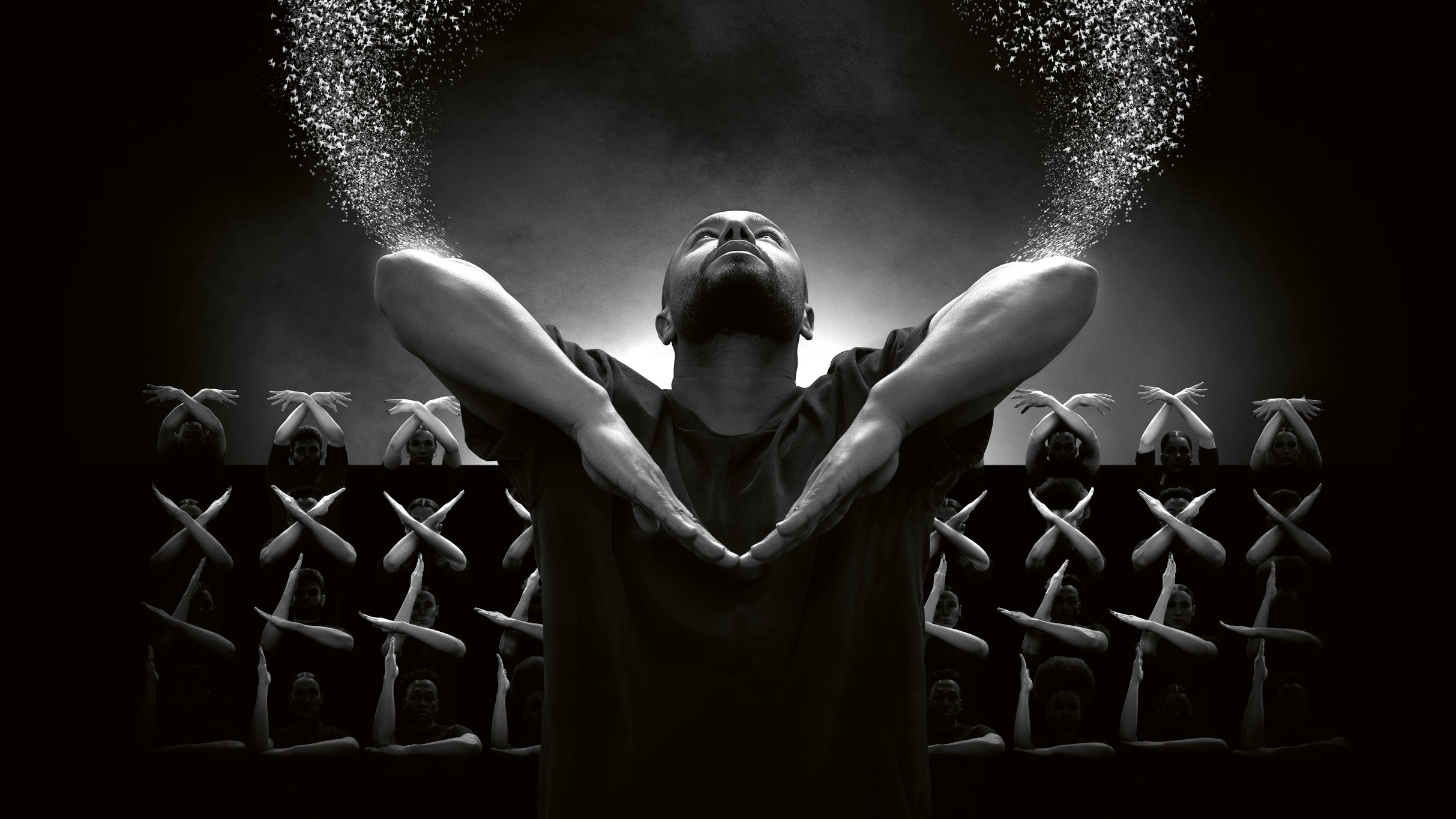 Murmuration Level 2: Dance Sensation in Sochaux!