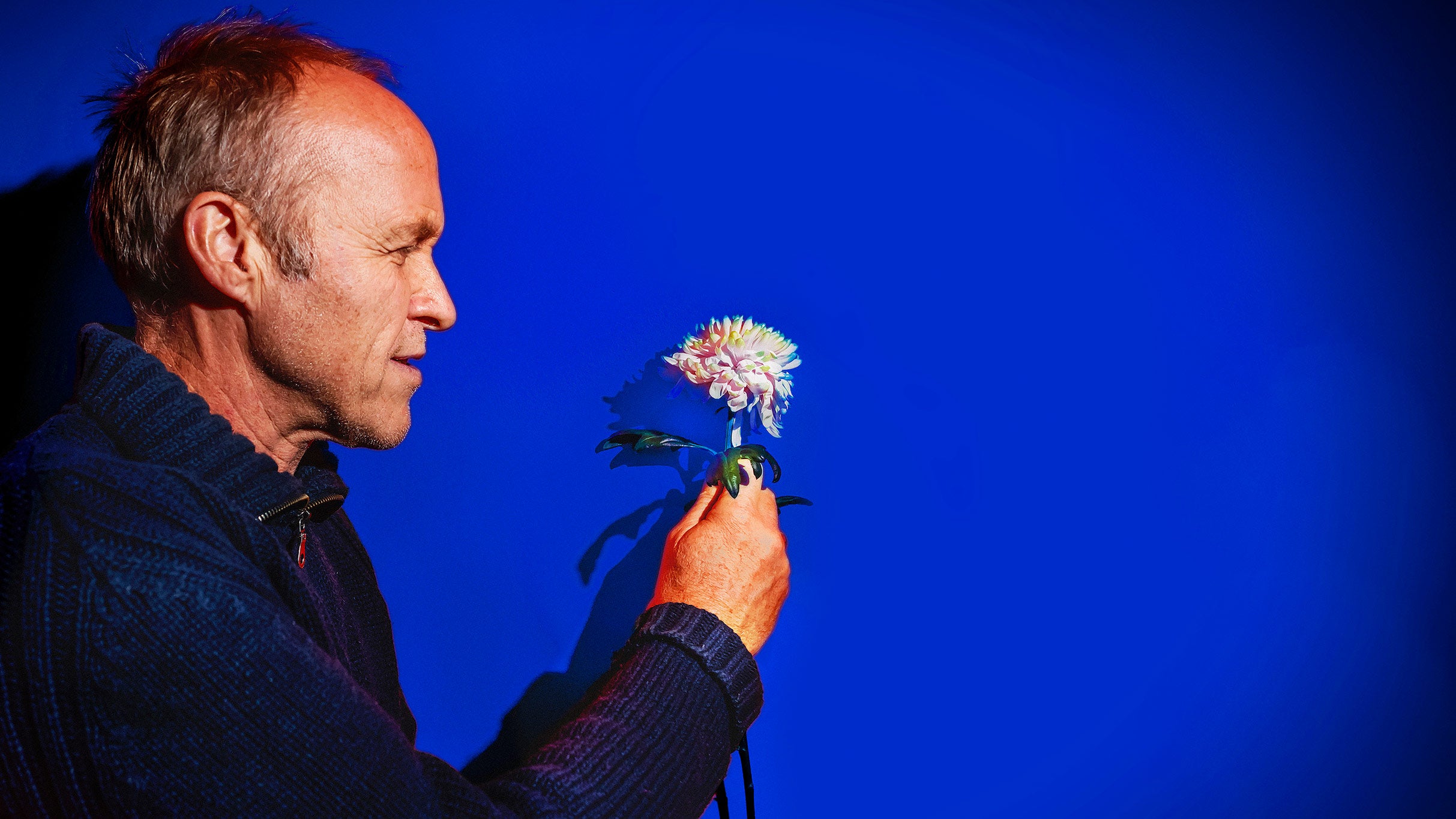 Stef Bos in Ostend: A Melodic Folk Journey