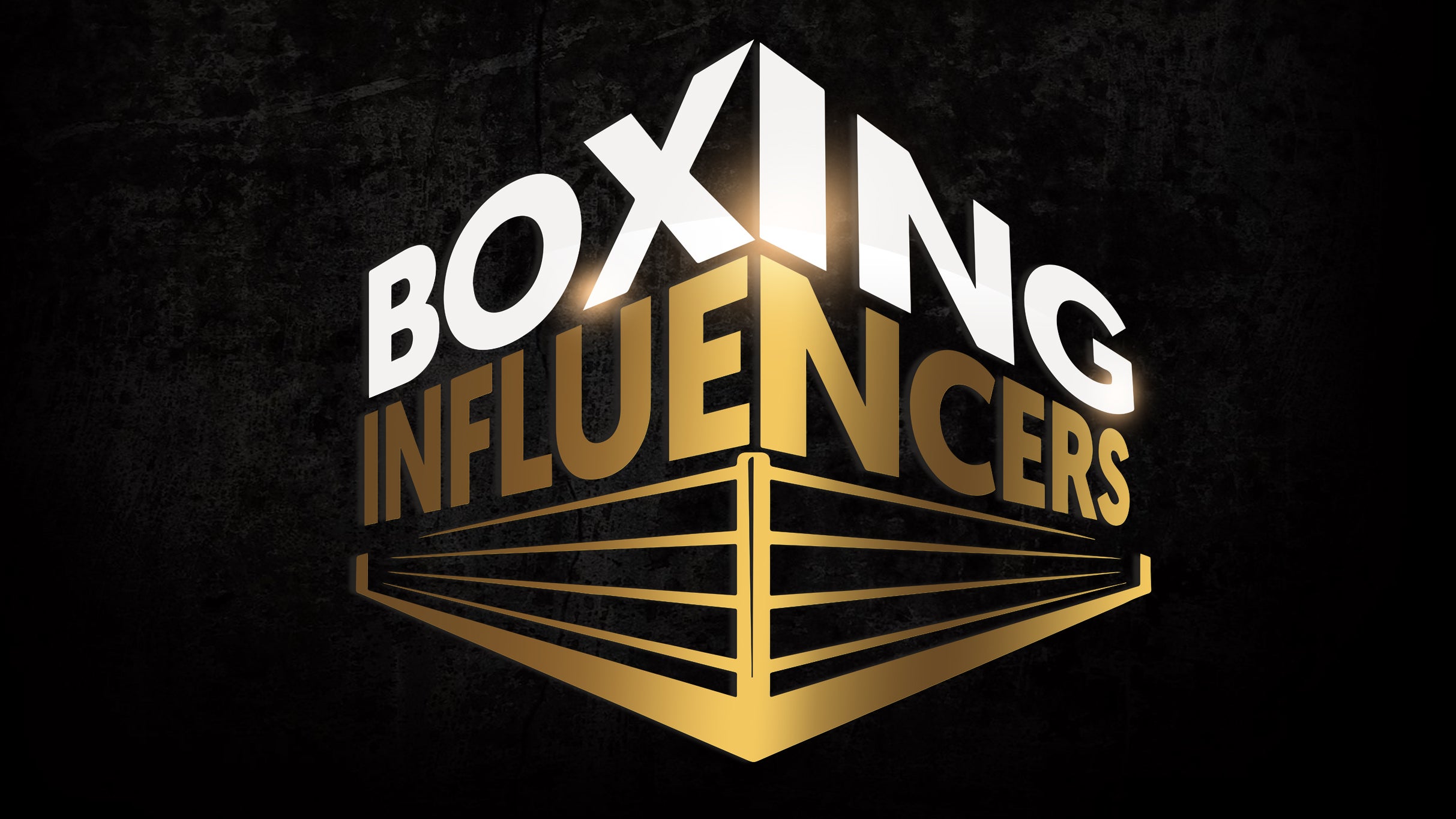 Boxing Influencers VIP: Fights & Fun in Den Haag