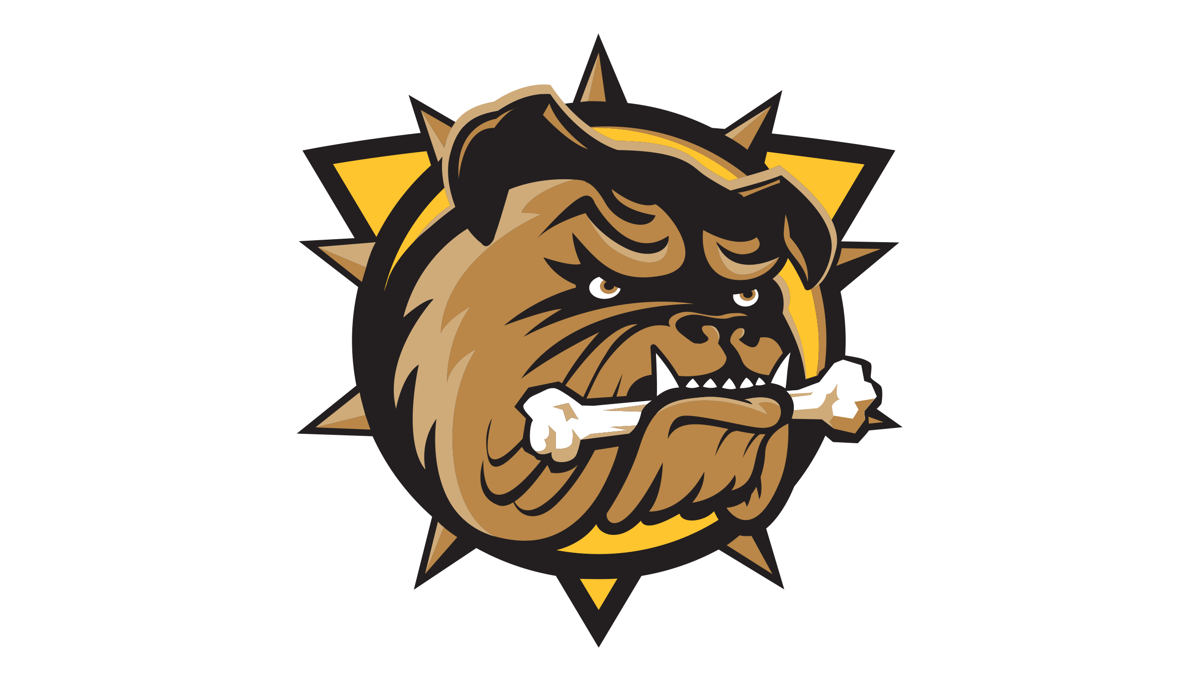 Brantford Bulldogs: Minor League Hockey Action!