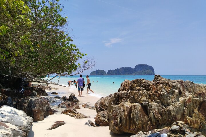 Image 2