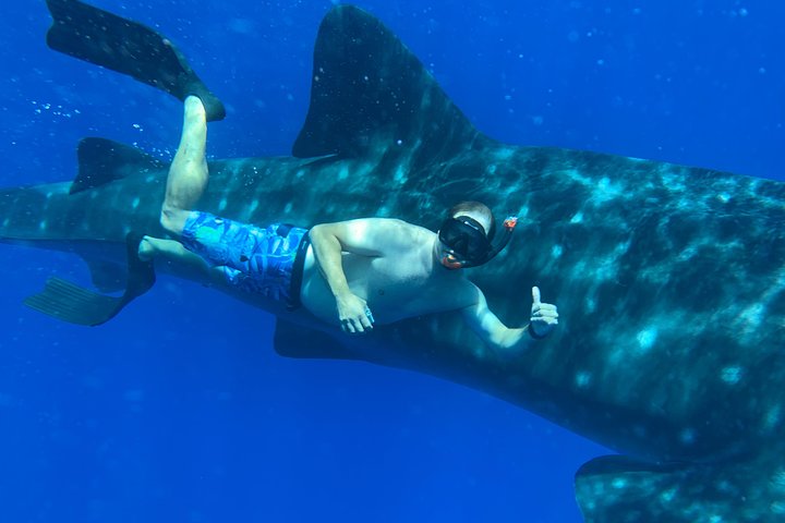 Maui Snorkel & Optional SCUBA: Small Group VIP Tour