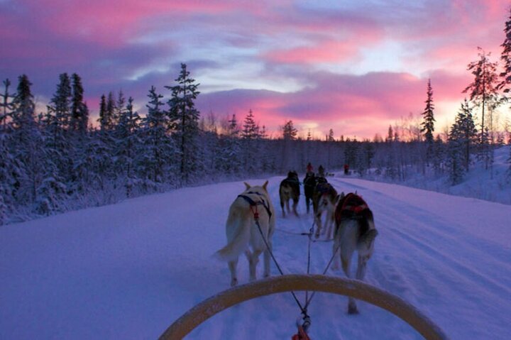 Ushuaia Night Adventure: Snow, Fire & Husky Sledding