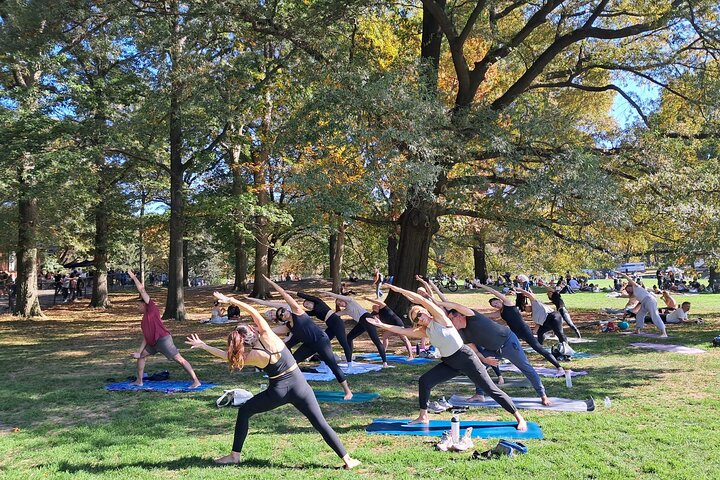 Yoga in Central Park: Relax & Recharge (1 Hour)