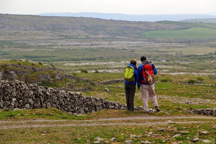 Burren Walk: Discover Ireland's Unique Nature & History