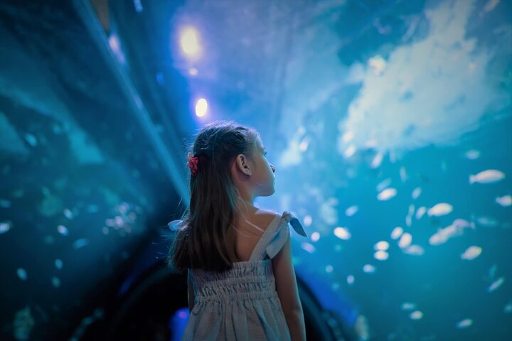 Aquaria Phuket & 4D Museum: Best Deal!