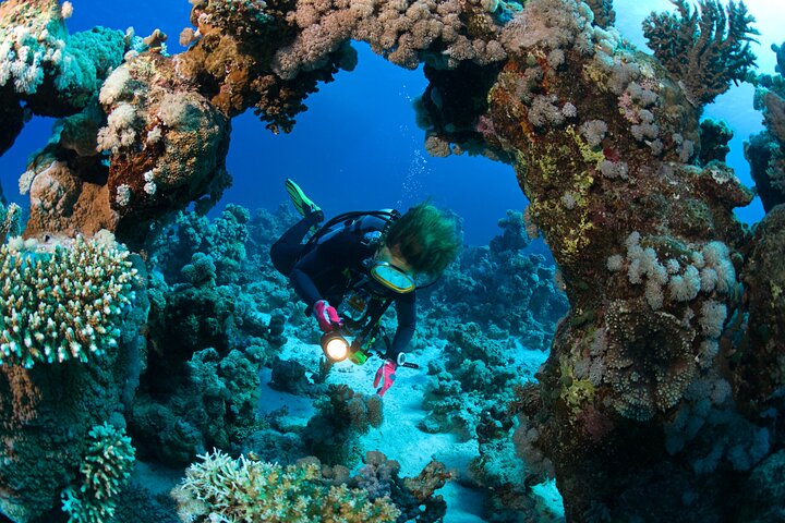 Phi Phi: 3 Dives for Certified Divers – Explore Underwater!