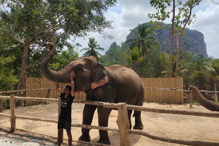 Krabi Elephant Bathing: A Fun Ao Nang Experience