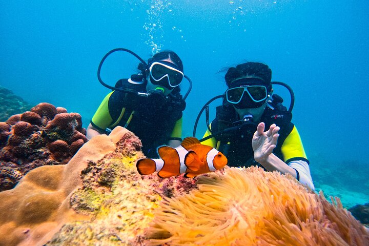 Phuket Dive: Maithon/Racha Island Beginner Scuba