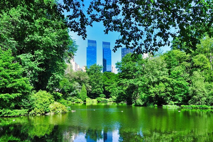 NYC Family Quest: Sensi Stone Mystery Adventure