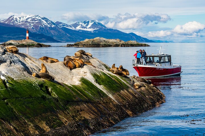 Ushuaia Beagle Channel Tour: Hike & Wildlife!