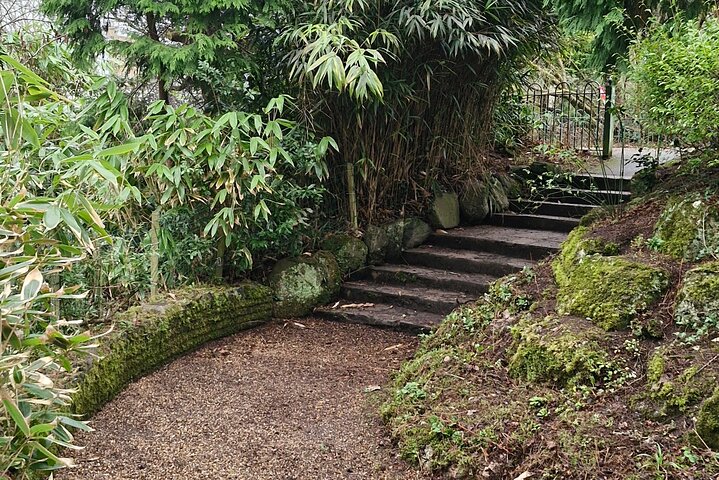 Belfast Walking Tour: History, Gardens & Hidden Gems