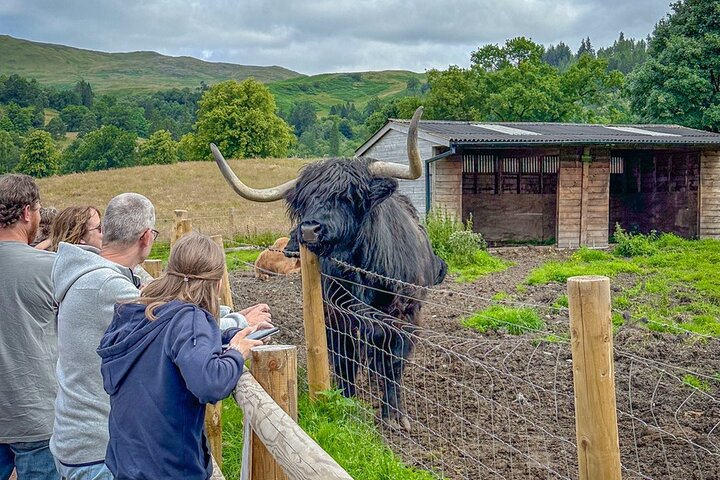 Kelpies, Stirling Castle & Loch Lomond: Greenock Port Tour