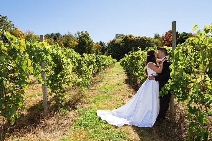 Hamptons Wine Tour from NYC: Taste & Escape!