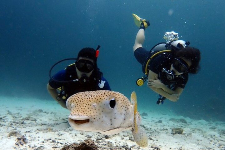 Phuket Scuba: Racha Yai & Noi Diving for Beginners!