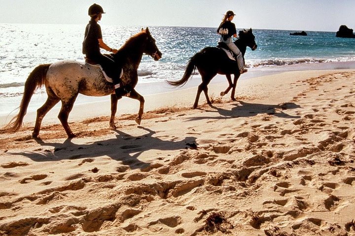 Krabi Horse Riding: Beach & Village Tour
