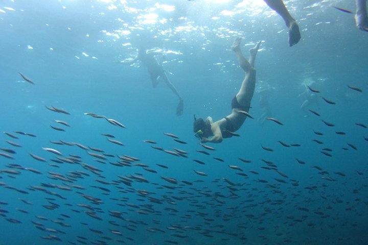 Image 1