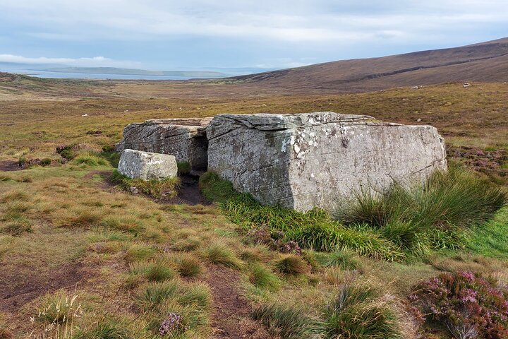 Hoy Island Day Trip: Orkney's Wild Side Explored