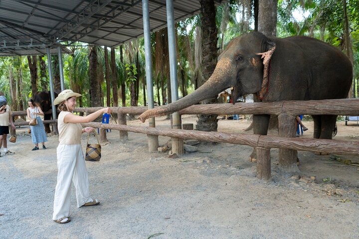 Krabi Scooter Adventure: Ethical Elephants, Cooking & Beach!