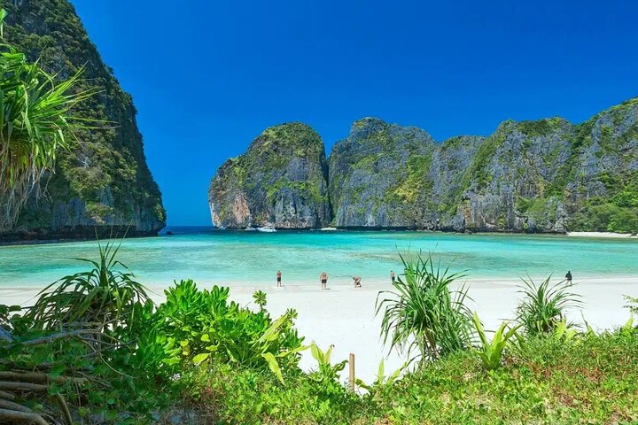 Phi Phi & Maya Bay Speedboat Tour from Phuket
