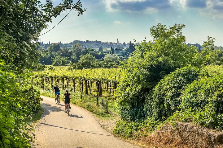 Valpolicella Bike & Photo Tour: Capture Italy's Beauty!