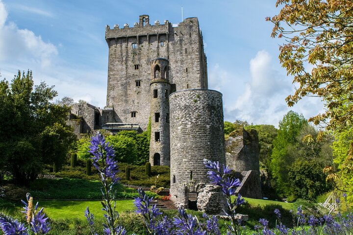 Blarney Castle Day Trip: Private Luxury Tour from Dublin