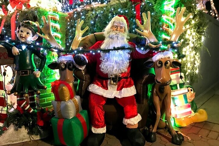 Private Dyker Heights Christmas Lights Tour from NYC