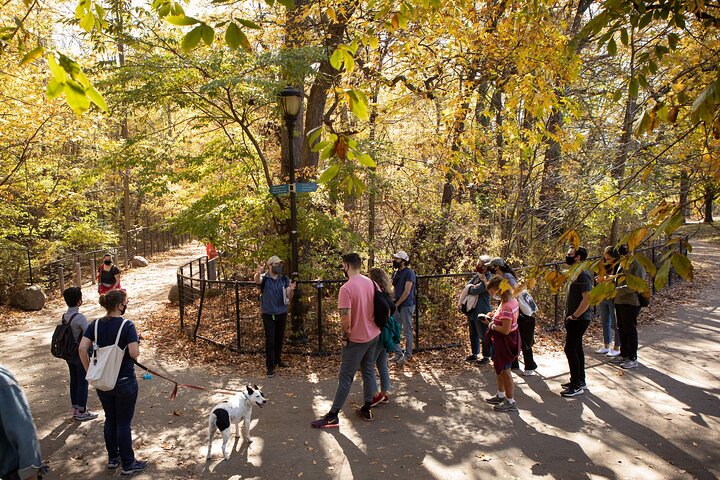 Prospect Park Tour: Explore Brooklyn's Backyard!