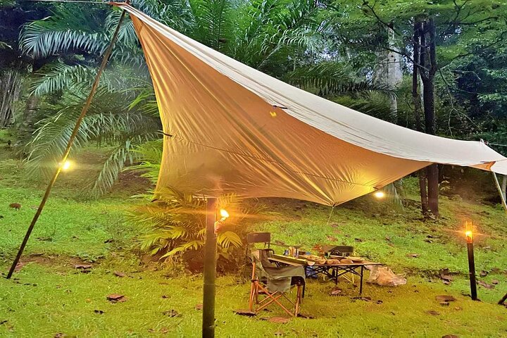 Khao Sok Jungle Escape: Twilight Trek & Campfire Dining