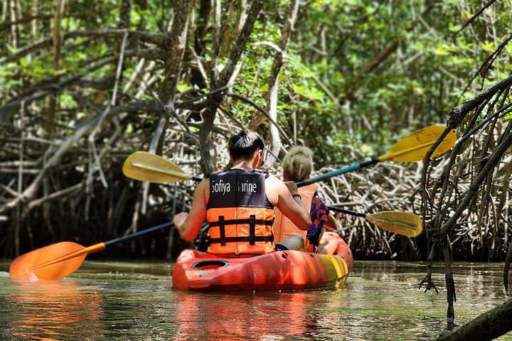 Phuket Jungle & Sea Kayak Adventure: Trek & Thai Lunch