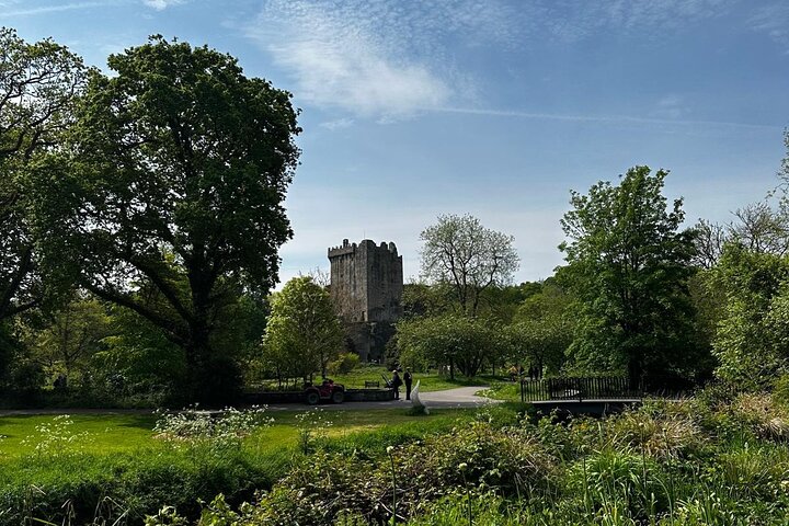 Blarney Stone Tour: Kiss It on a Dublin Day Trip