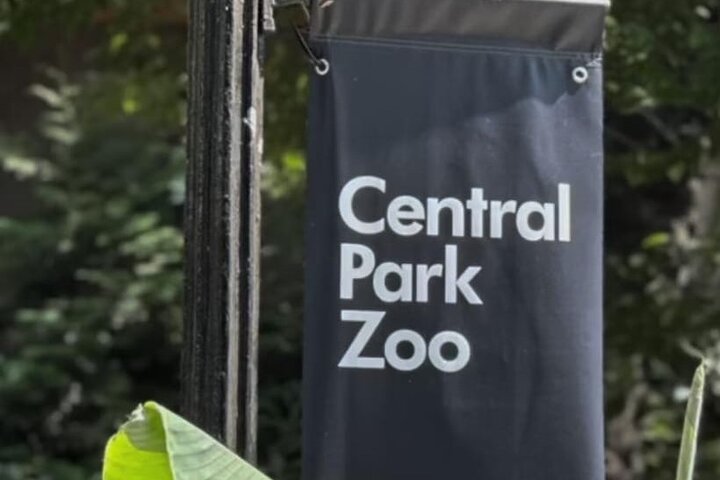 Central Park Zoo Tickets: Skip the Line & See Wildlife!