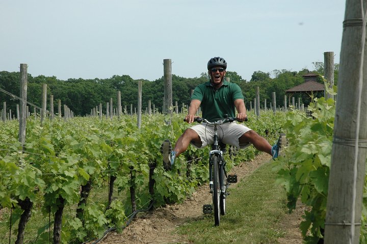 Wine Country Bike Tour: Mattituck Orchards & Vineyards