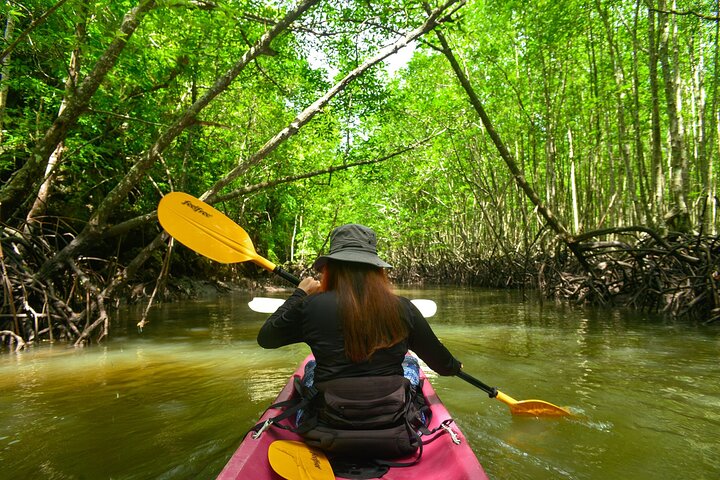 Kayak Krabi's Ao Thalane: Mangroves & Limestone