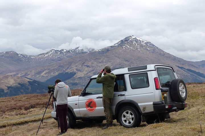 Loch Lomond Wildlife Safari: Spot Eagles & Deer!