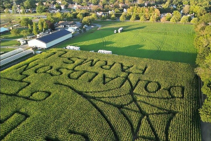 NY Farm Day Trip: Fun for Kids! 50% Off
