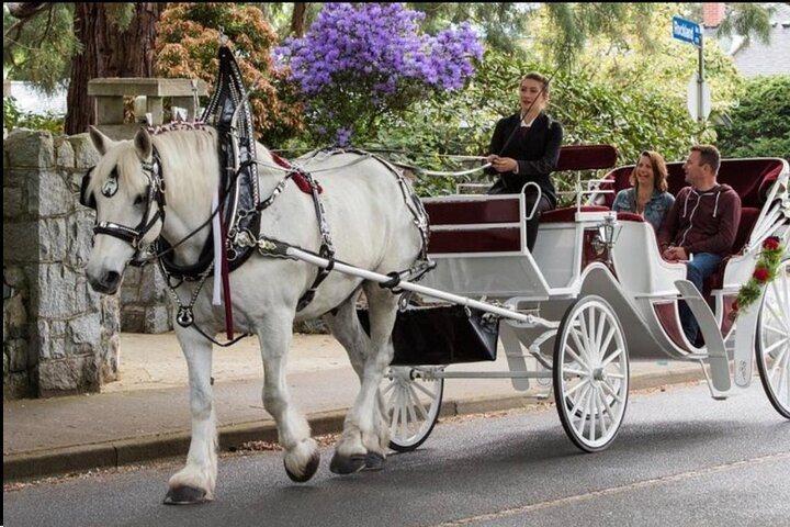 Central Park Horse Carriage Ride: NYC's Top-Rated Tour!