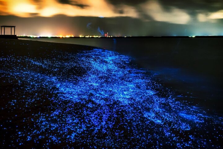 Phuket: Phang Nga Bay Bioluminescence & Canoe Adventure