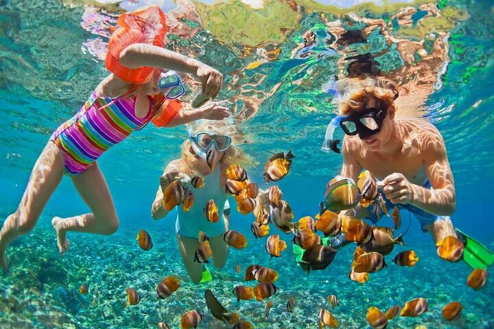 Early Bird Phi Phi & 4 Islands Speedboat Tour