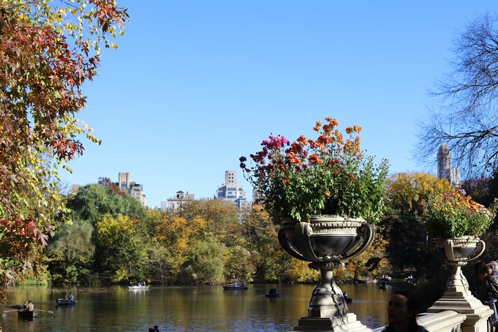 Central Park Walk: See NYC Like a Local!