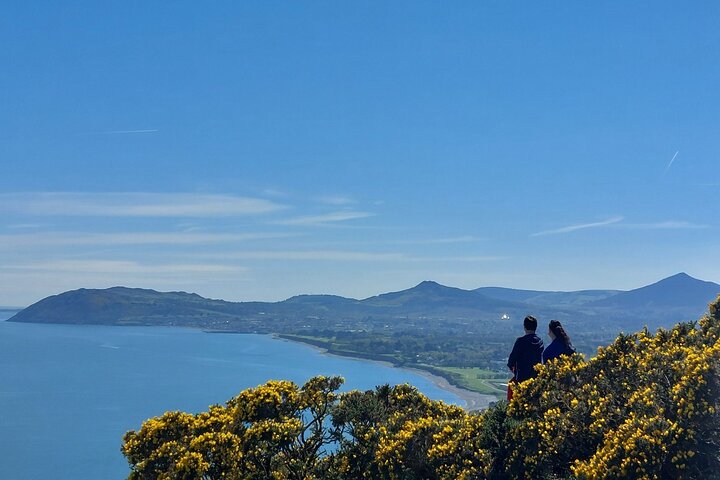 Dublin's Best: Private City & Suburbs Luxury Tour