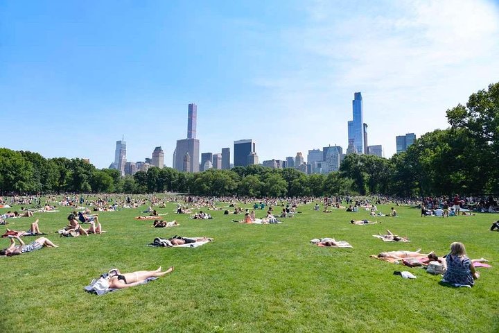 Central Park Tour: French Guide, Iconic Spots