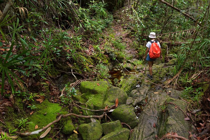 Khao Sok: Hike & Bamboo Rafting Day Trip