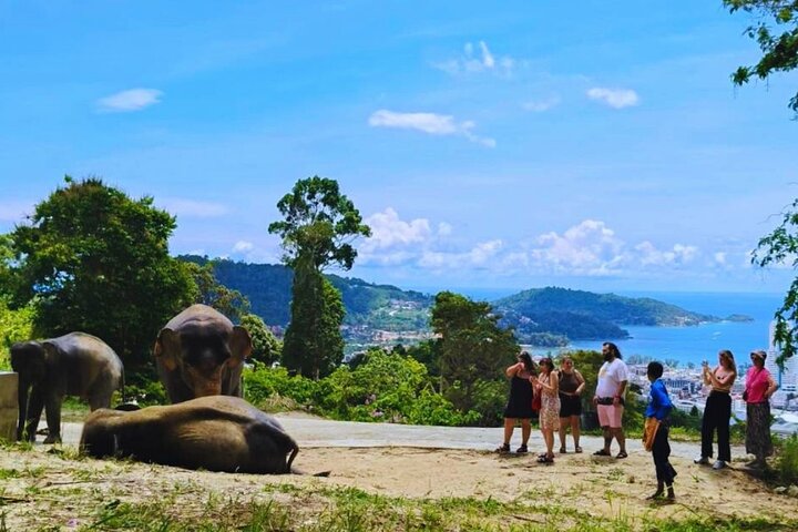 Phuket Elephant Sanctuary: Observe, Respect, Connect