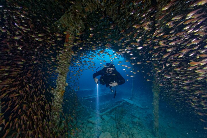 King Cruiser Wreck: 3 Dives for Certified Divers!
