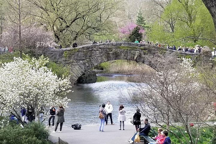 Central Park Secrets: Guided Walking Tour