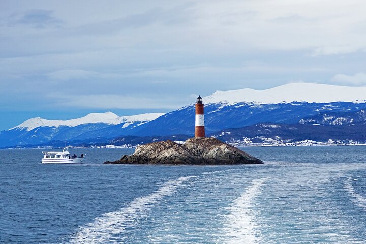 Beagle Channel Catamaran Tour: Wildlife & Lighthouse